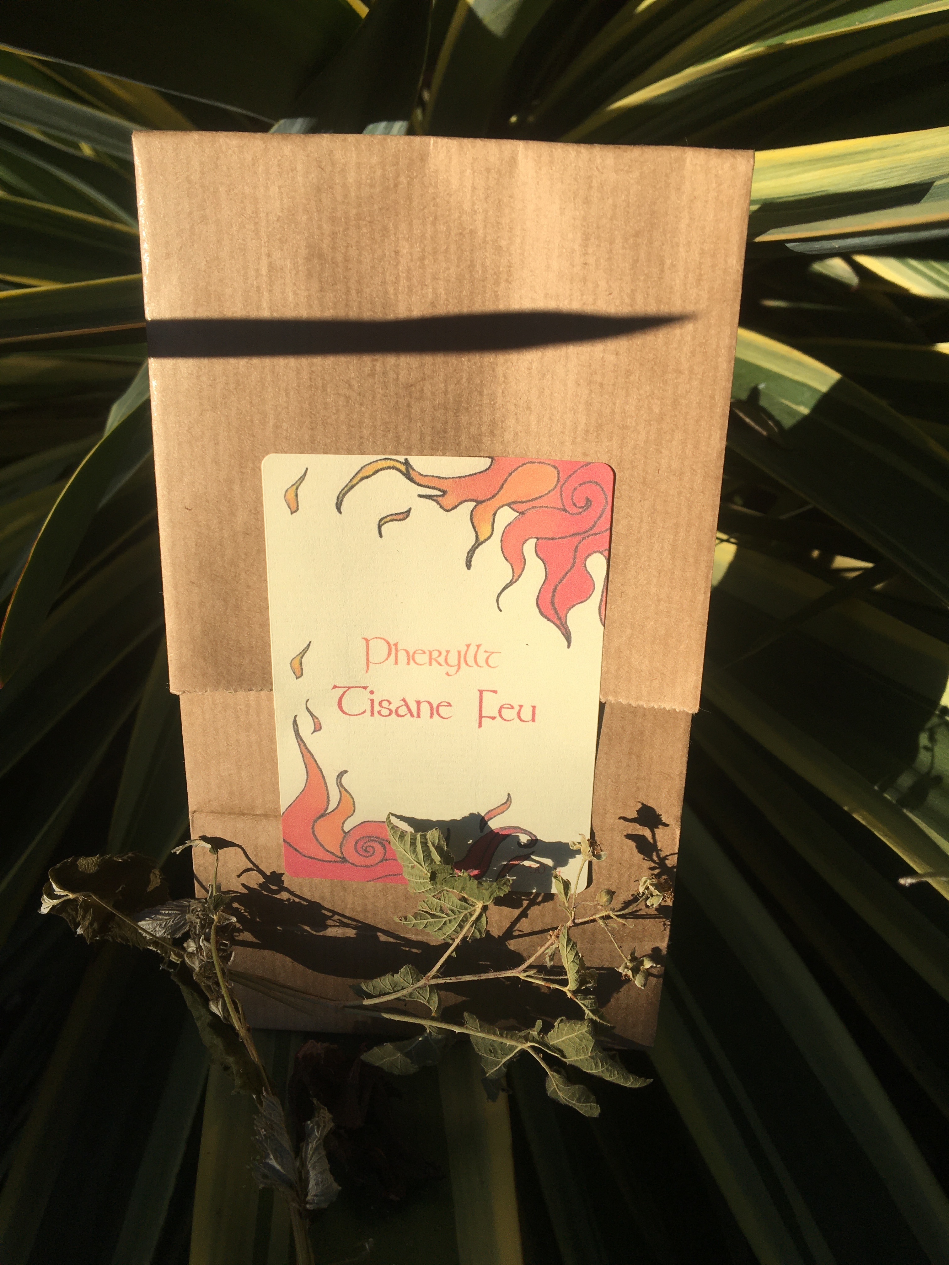 Tisane-feu