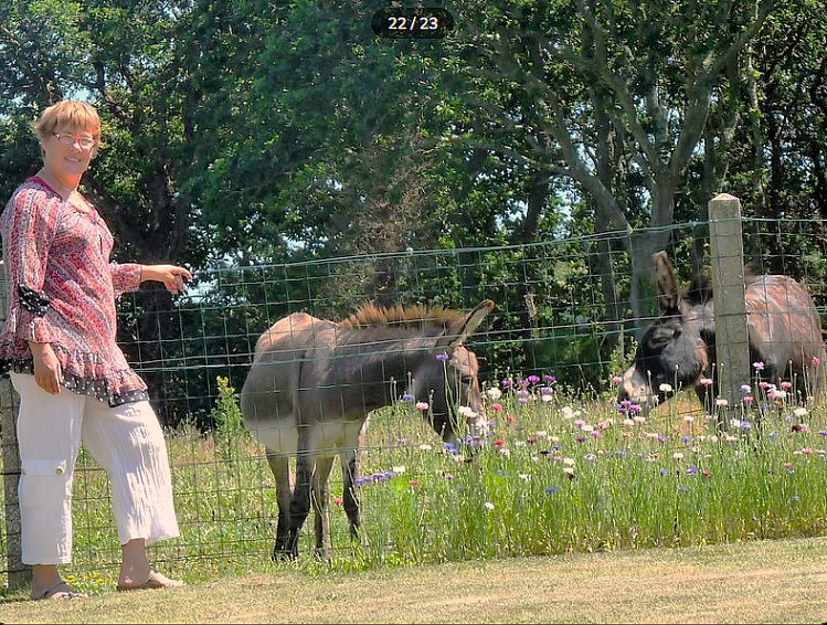 22 location cote de granit rose les gites du radome phoenix