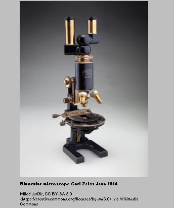 Binocular compound microscope- Carl Zeiss Jena