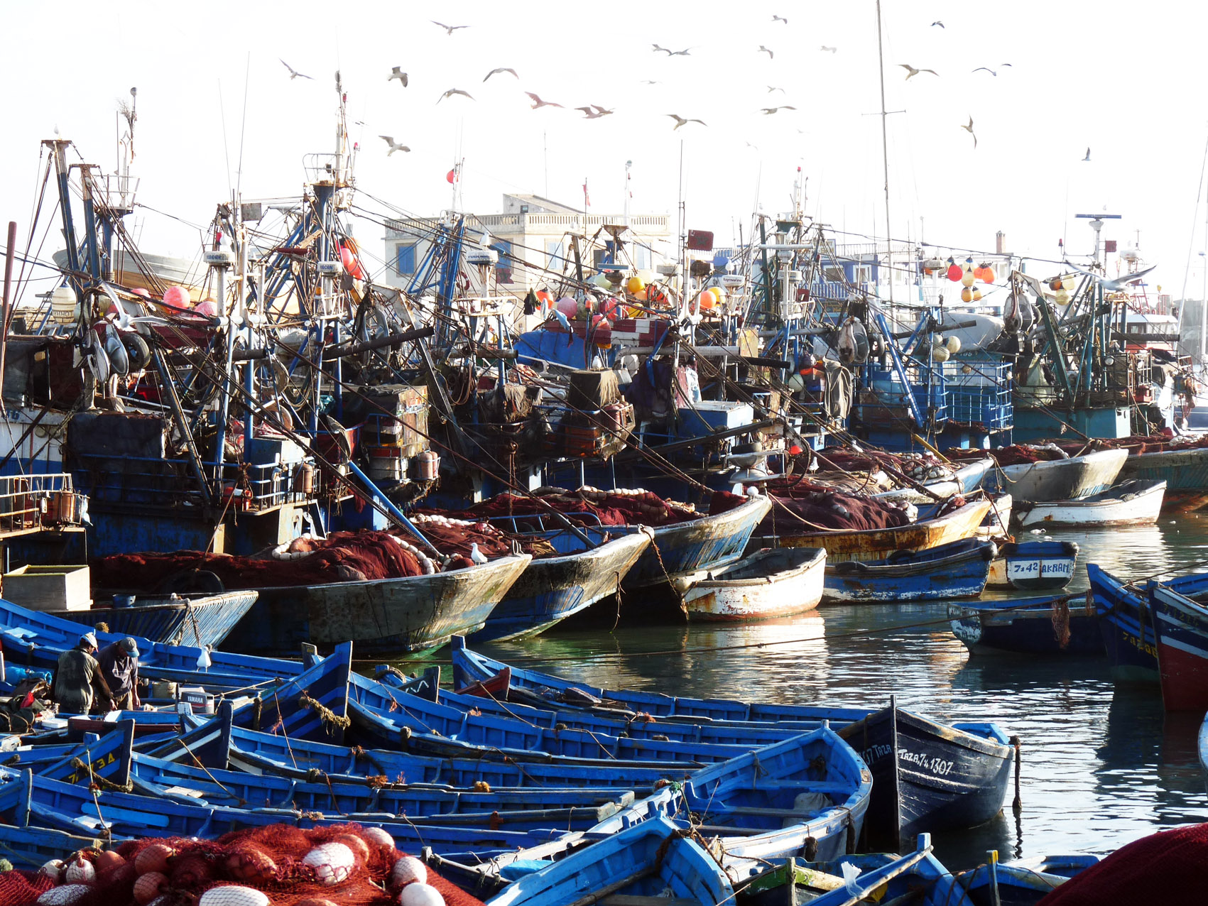 Maroc5