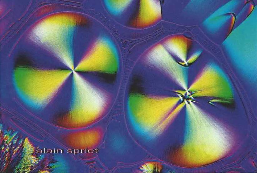 Alain spriet cristaux cefalotine cristallisation a partir du solvant acetone lumiere polarisee