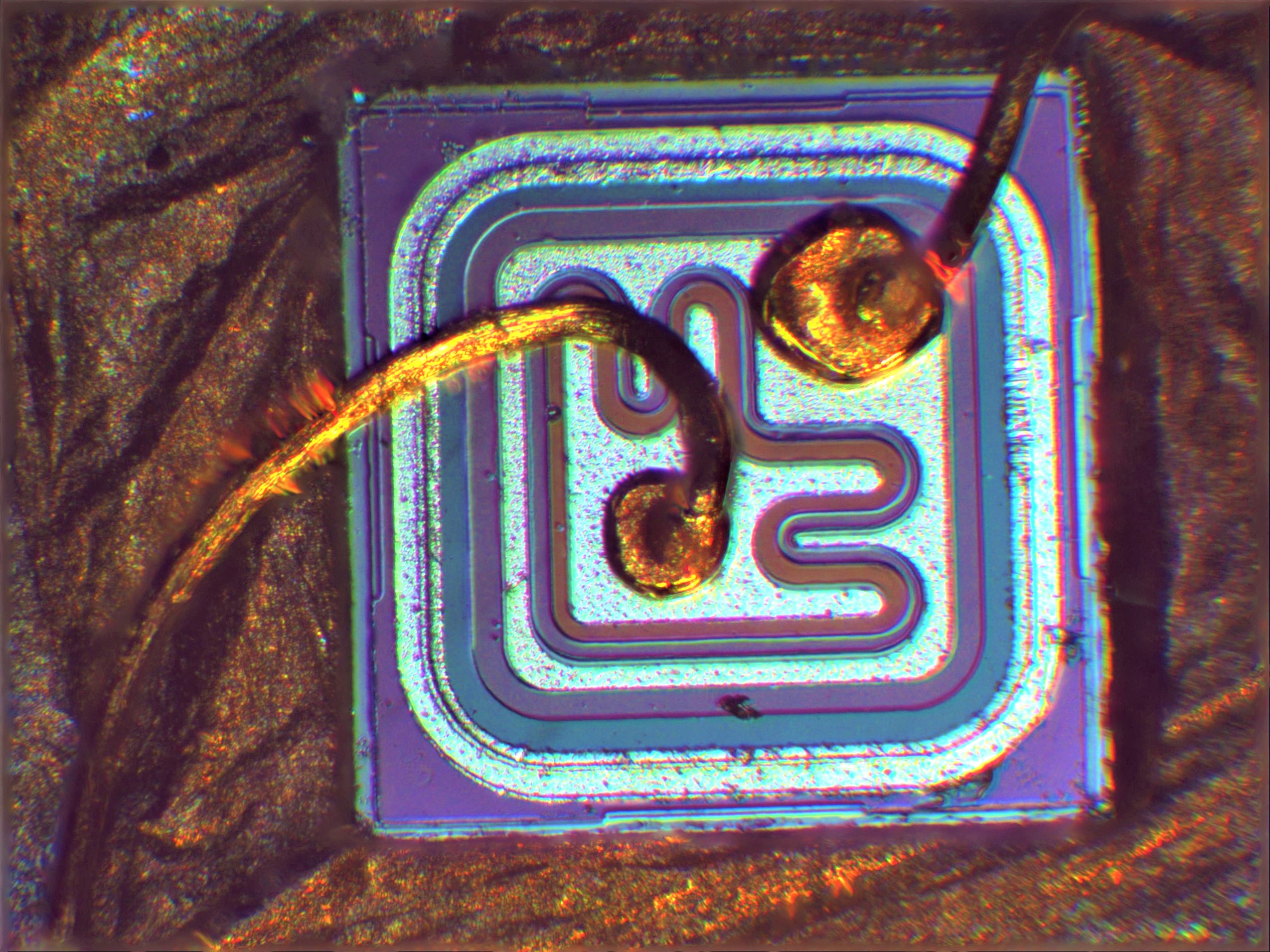 Didier barbet transistor 01