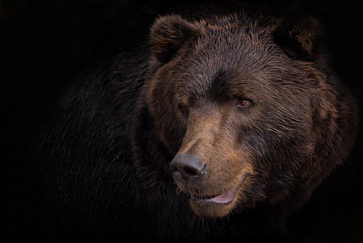 Ours