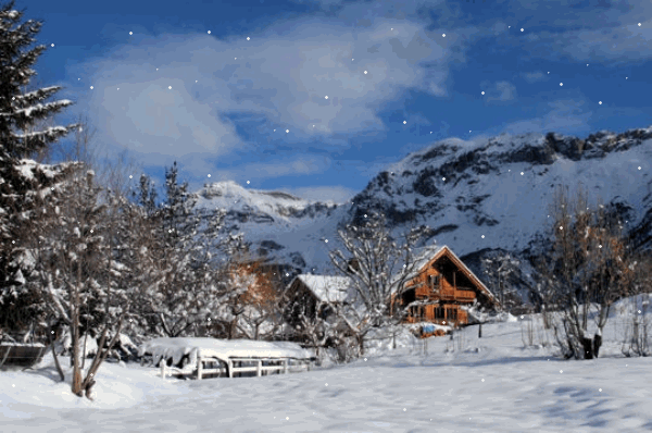 Janvier 2016