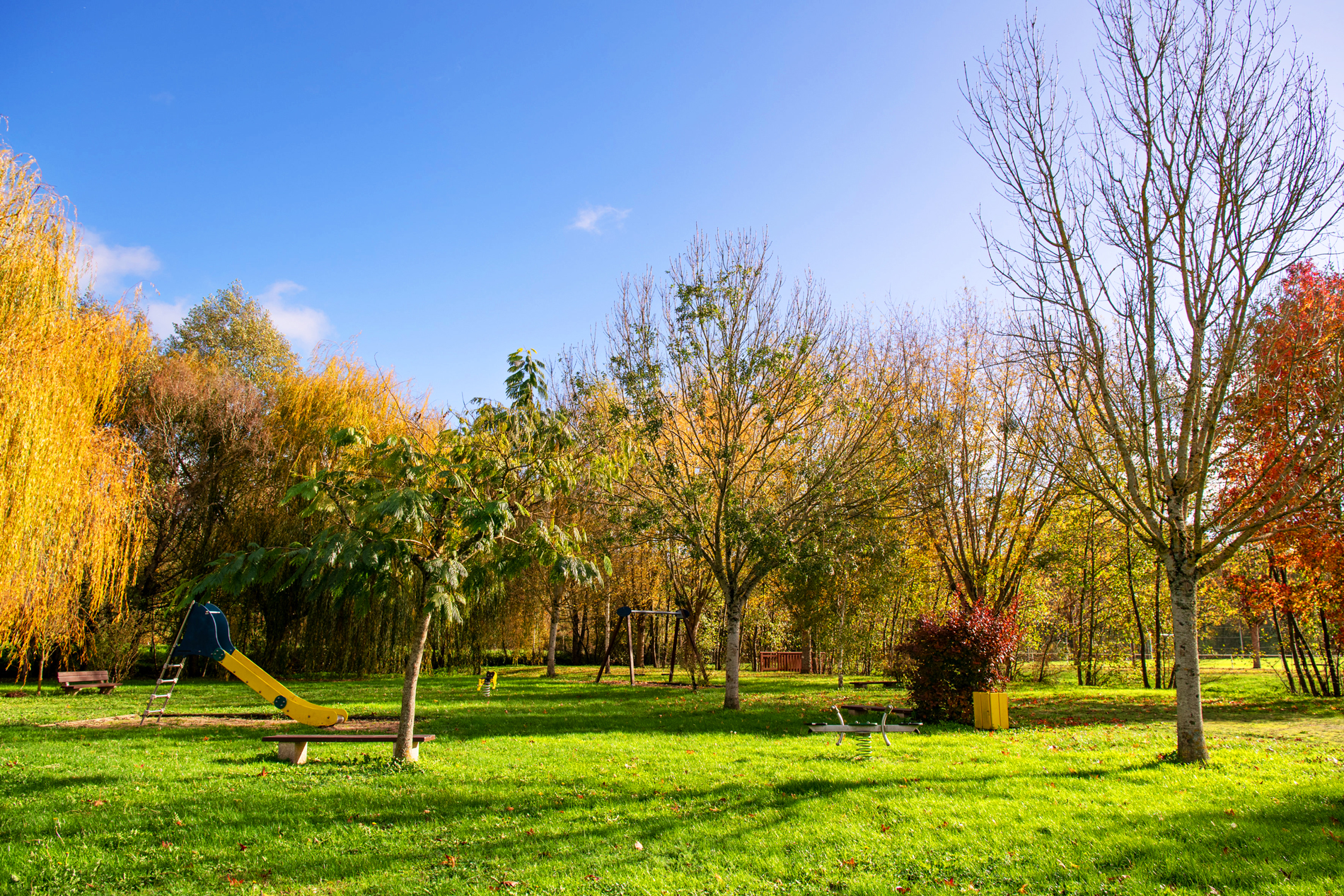 Parc lye