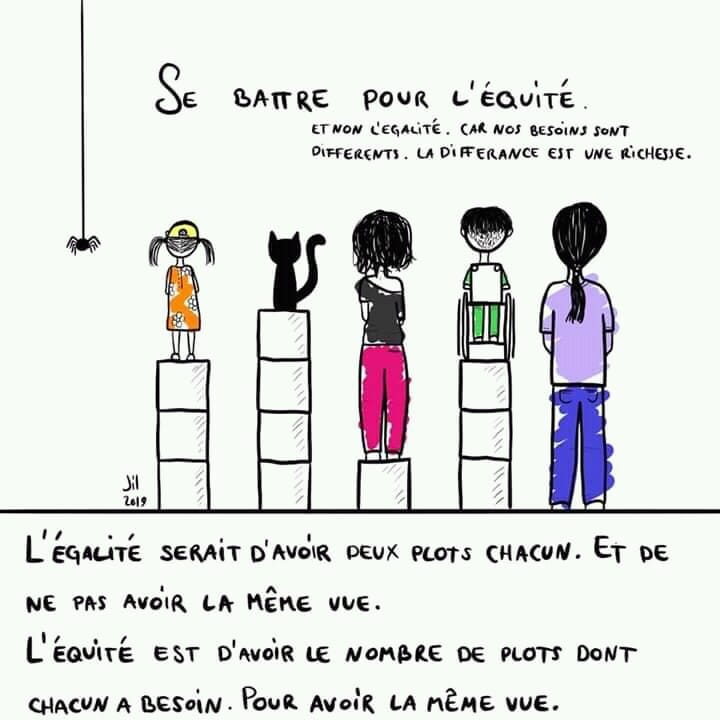 Equite