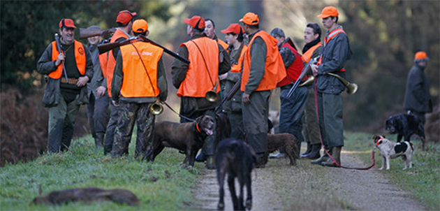 Chasse en battue