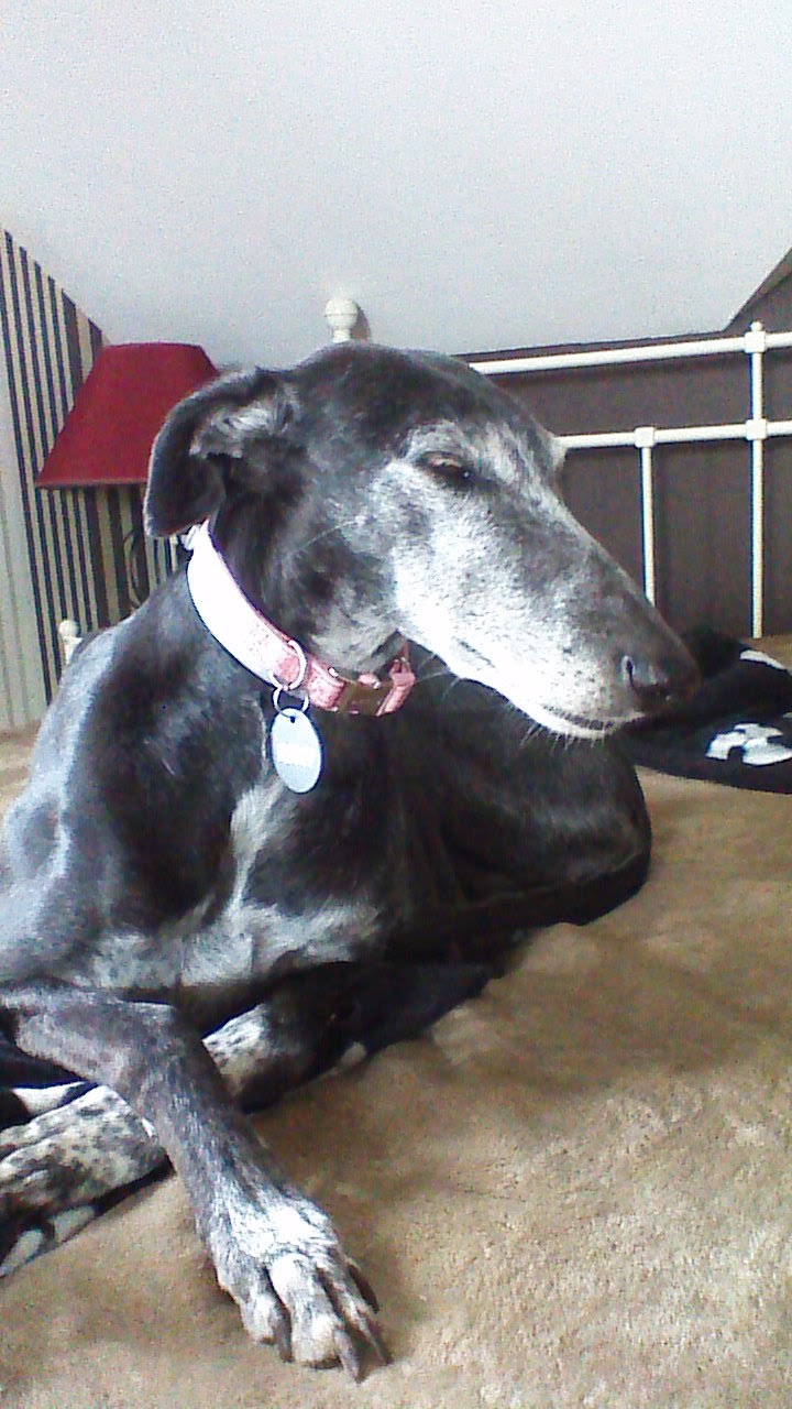 Romy2