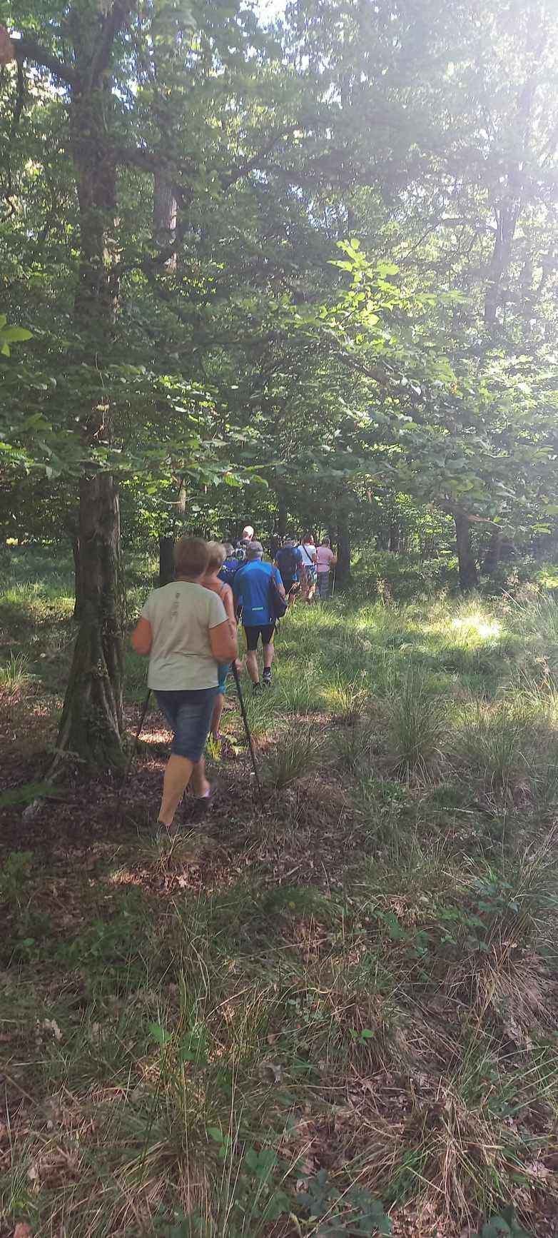 367010848 24499430189656419 7703639853414056076 n