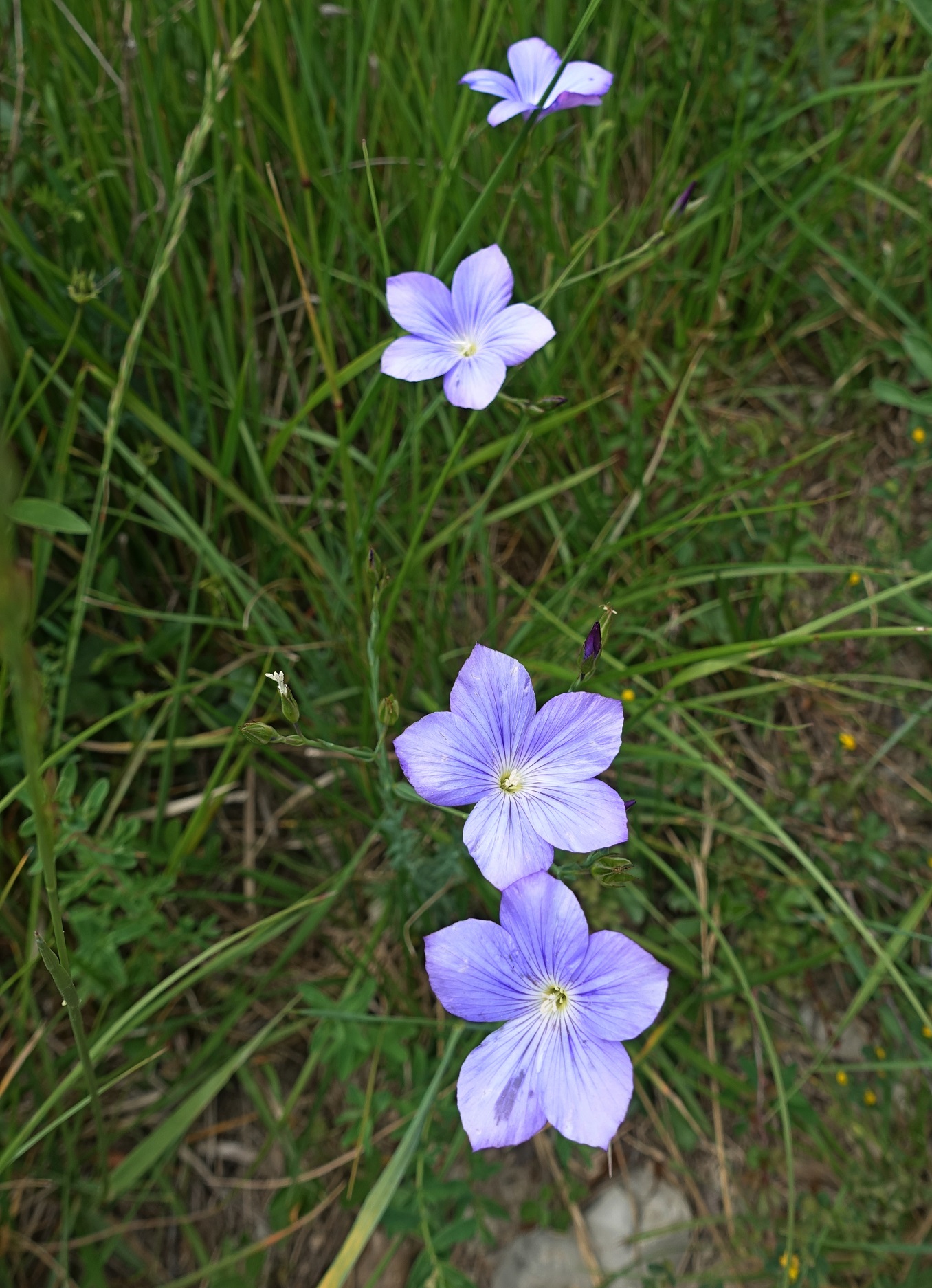 Dsc03195
