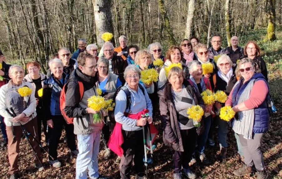 Sortie jonquilles 2 03 26