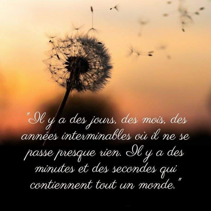 9 il y a des jours photo site