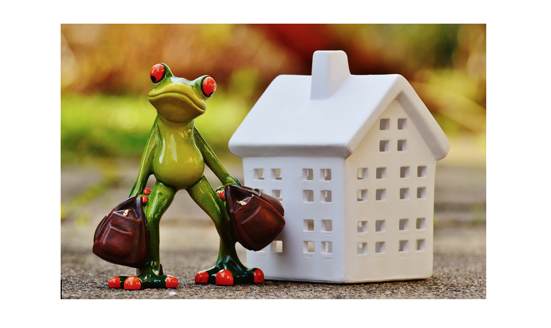 Grenouille