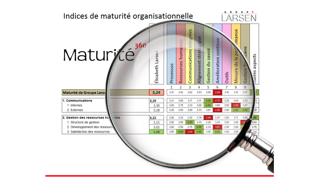 À quoi bon diagnostiquer votre organisation?