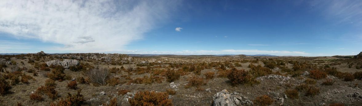 Plateau du Larzac