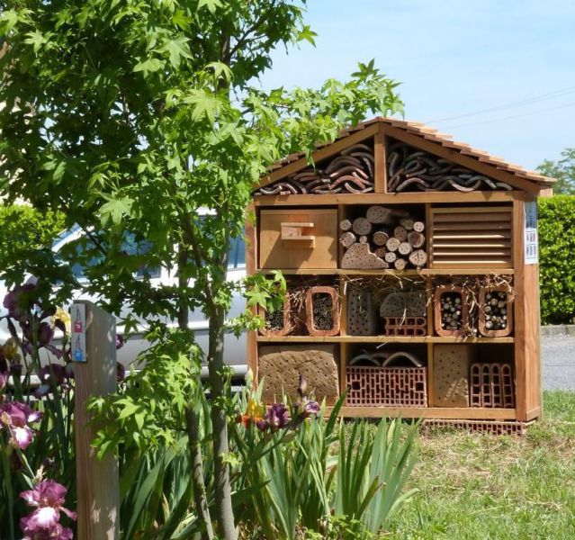 Maison insectes