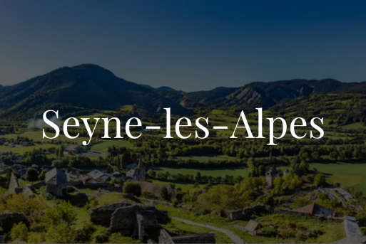 Seyne