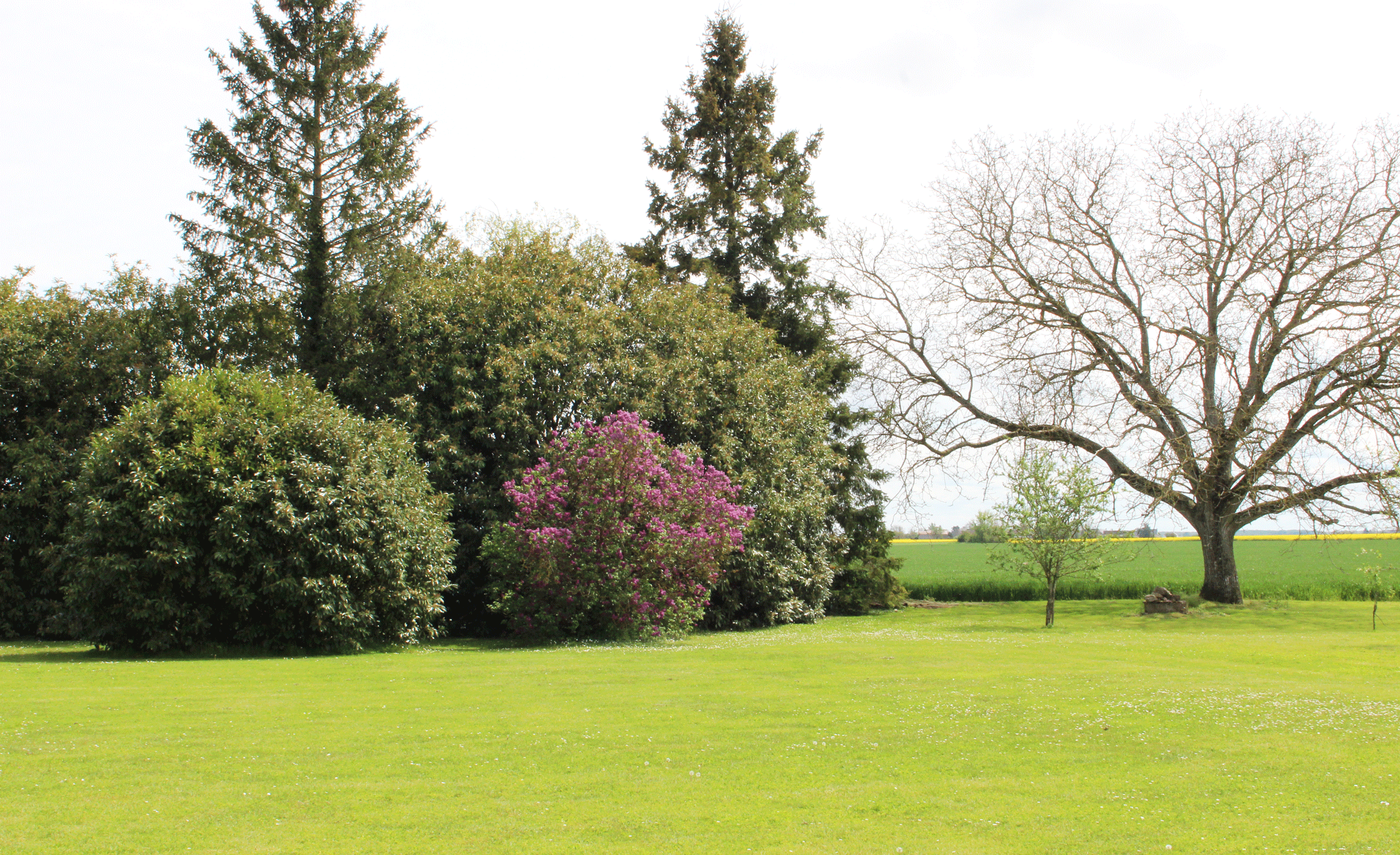 Gite de villenoue terrain