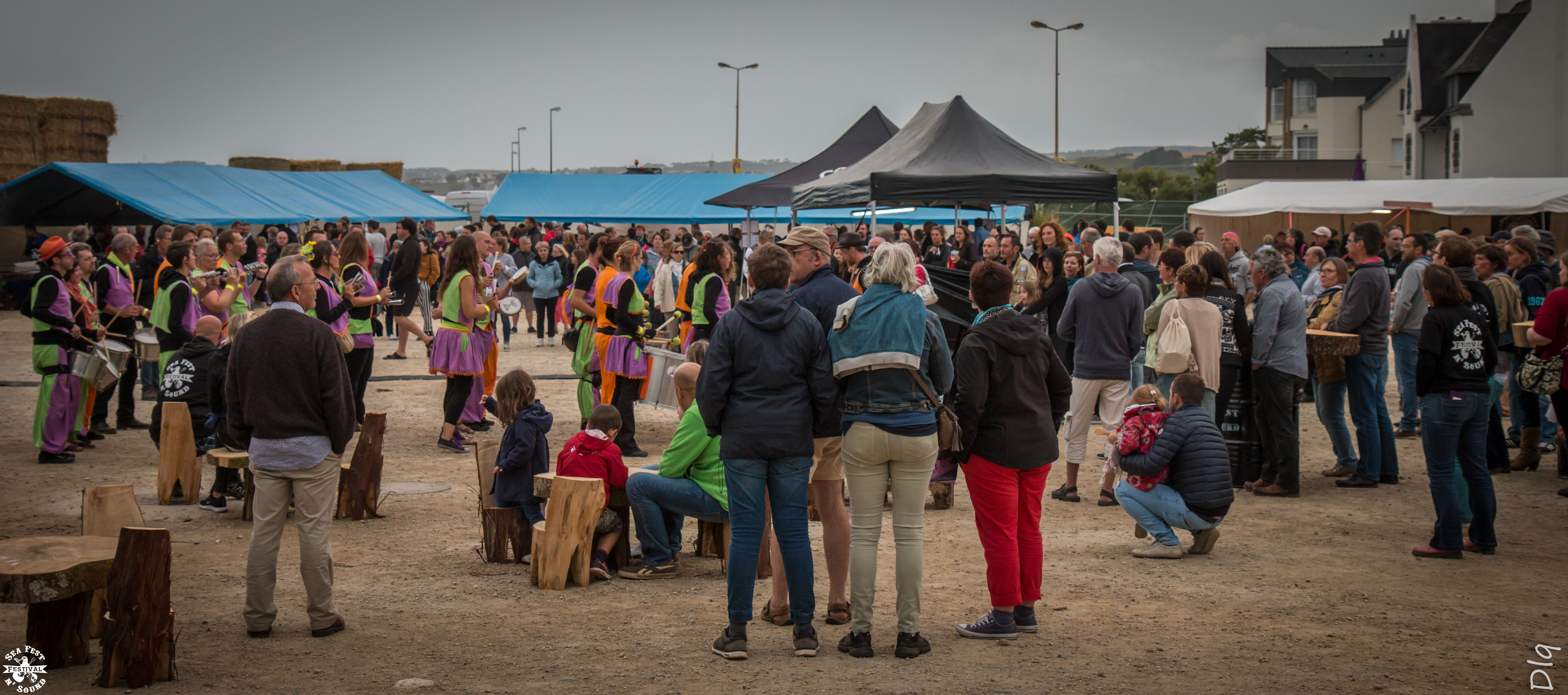 Sfs festi 2018 8 copie