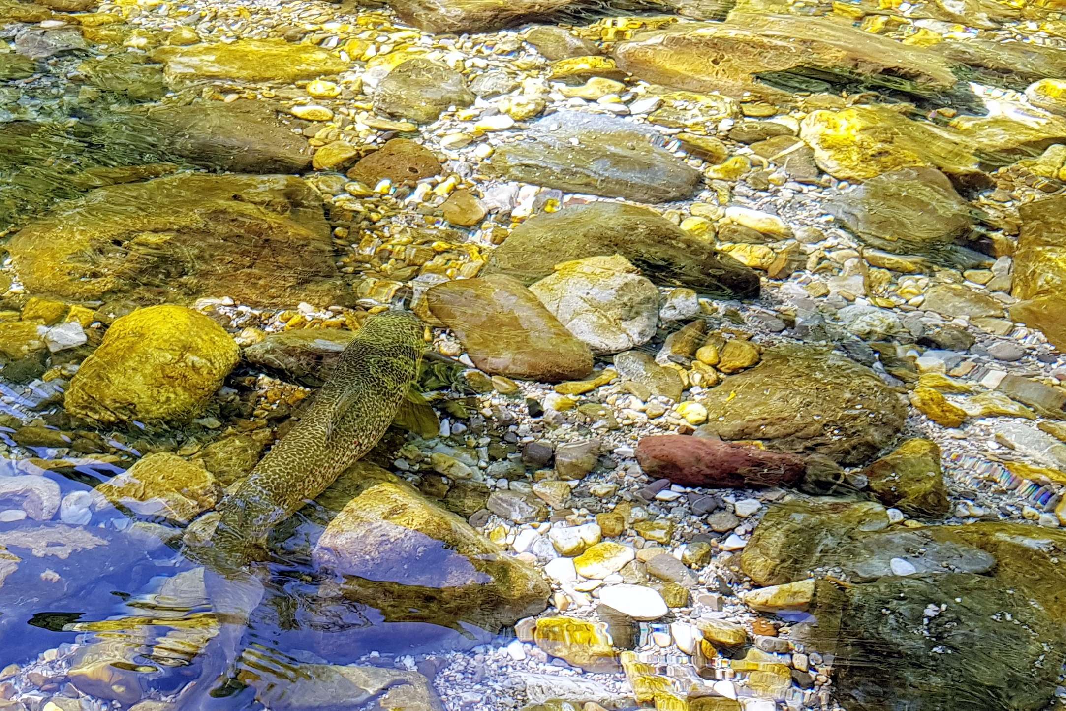 Slovenie2019 190614 26