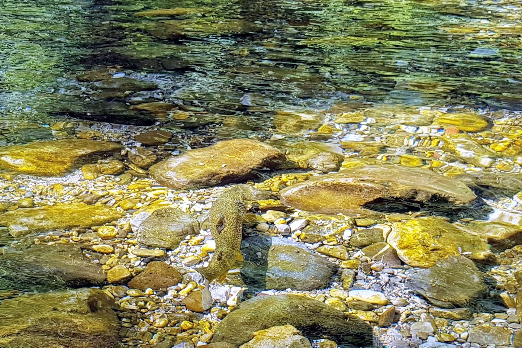 Slovenie2019 190614 27