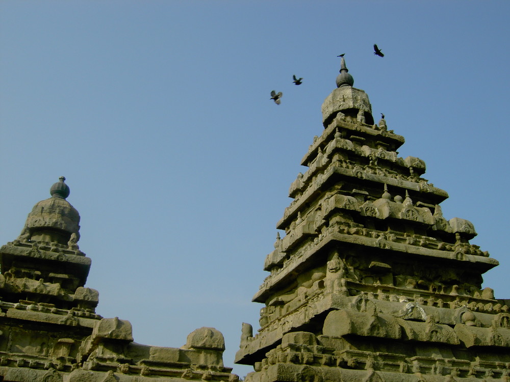 Inde 01 mamallu 012