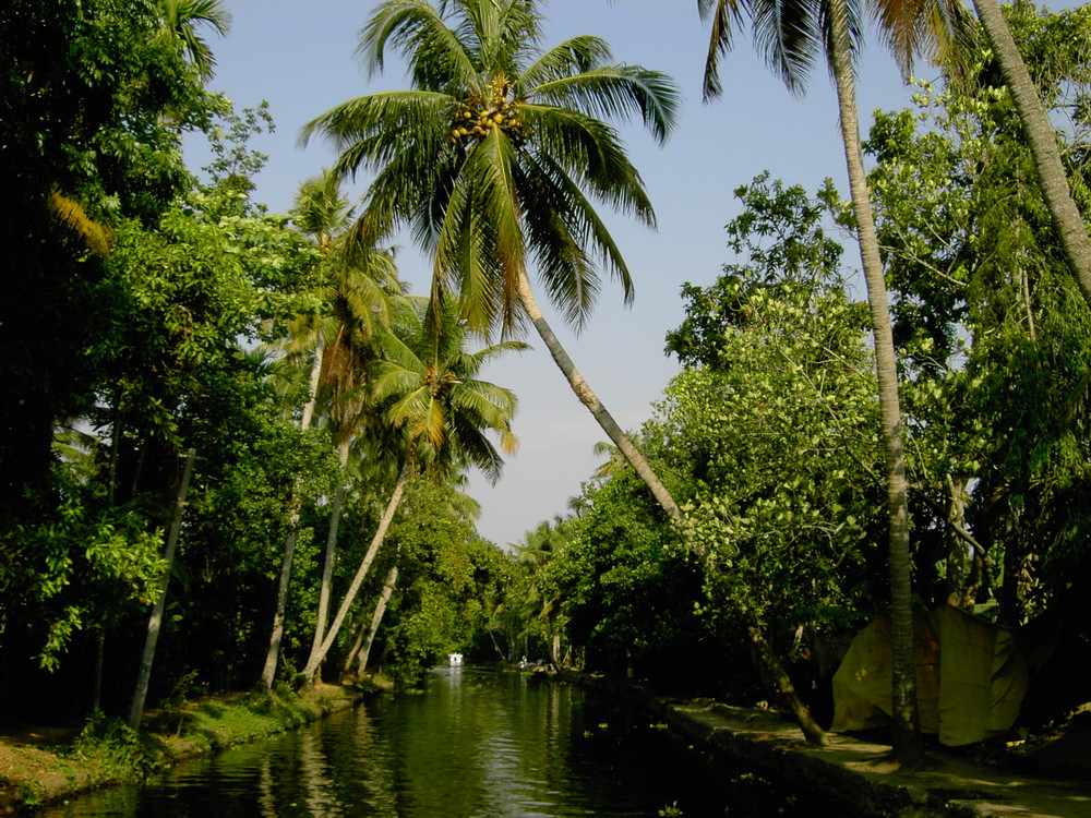 Inde 08 allepuey 013