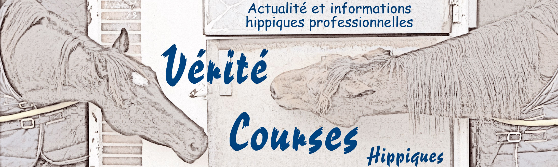 Banniere Verite Courses Hippiques