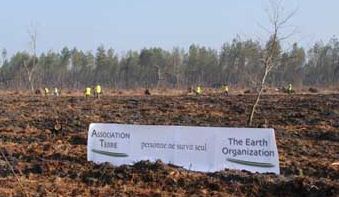 Plantation1