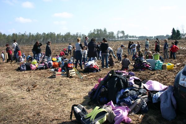 Plantation8