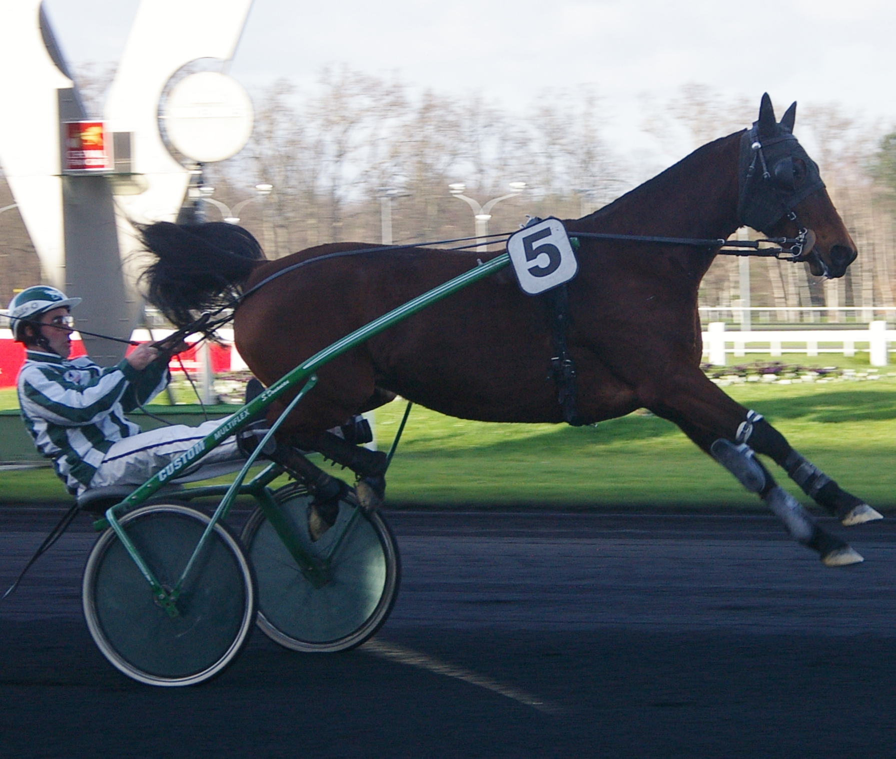 Faute cheval trotteur hippodrome courses hippiques