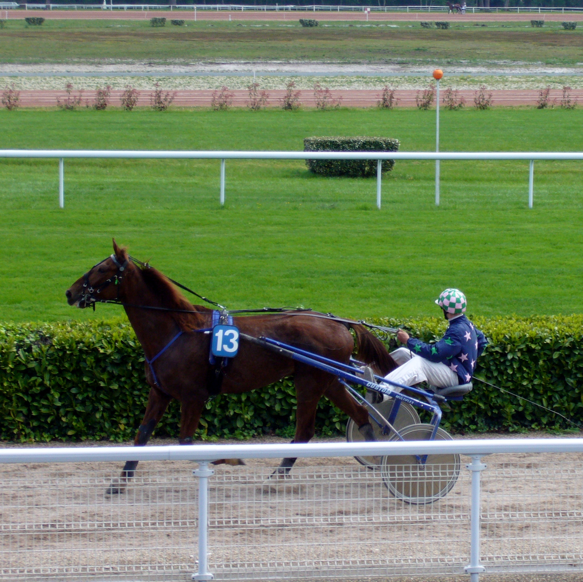 Canter hippodrome course hippique