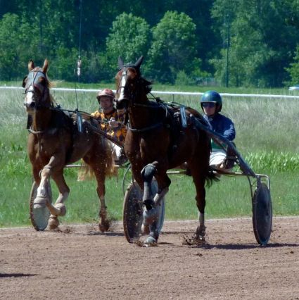 Dead heat hippodrome courses hippiques