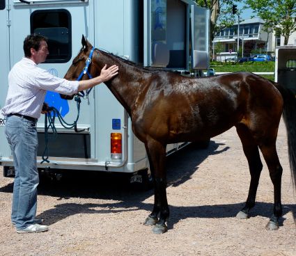 Lad cheval course hippique