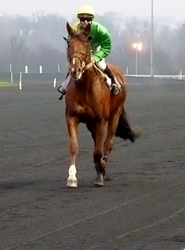 Piste en machefer de vincennes