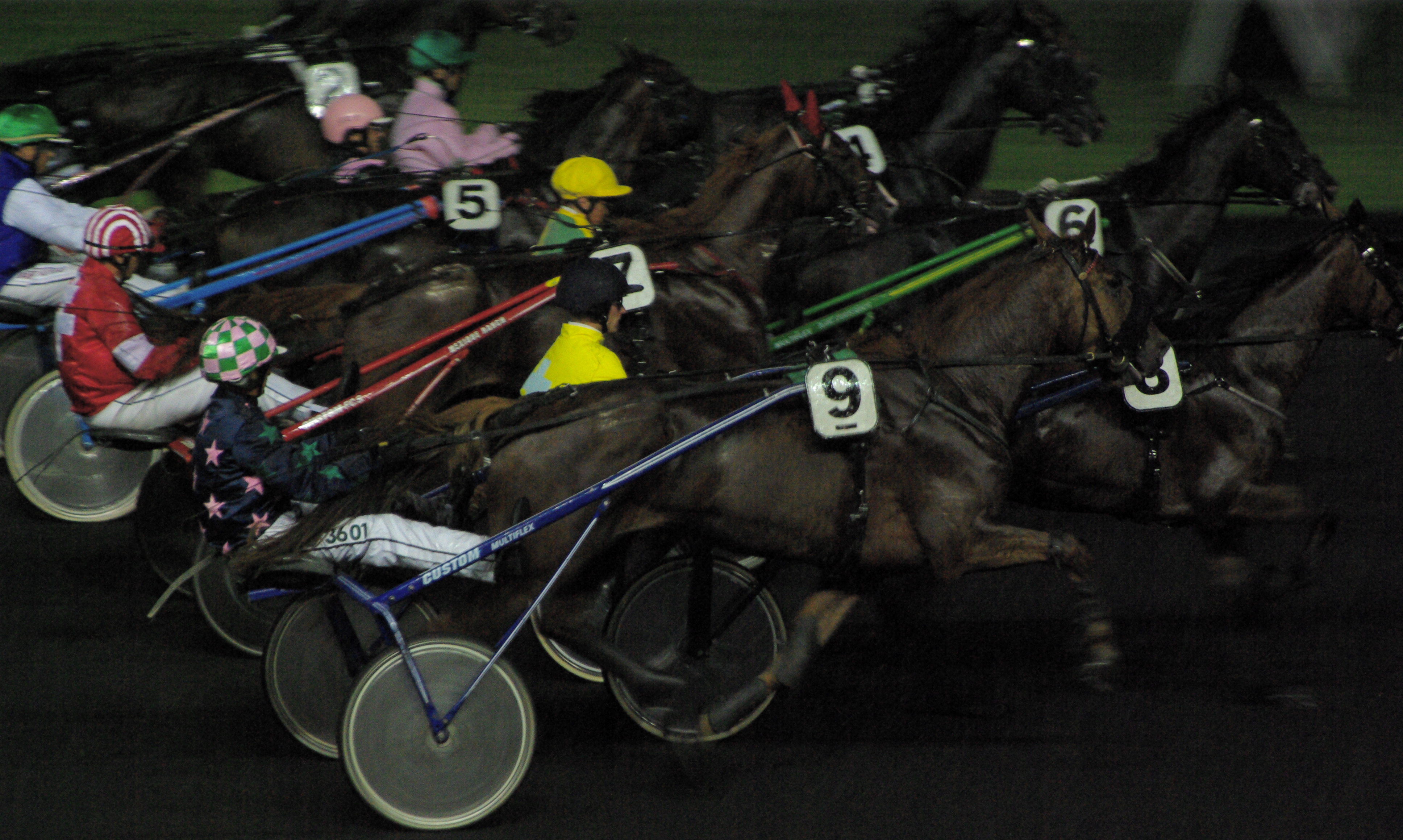 Sulky course de trot attele