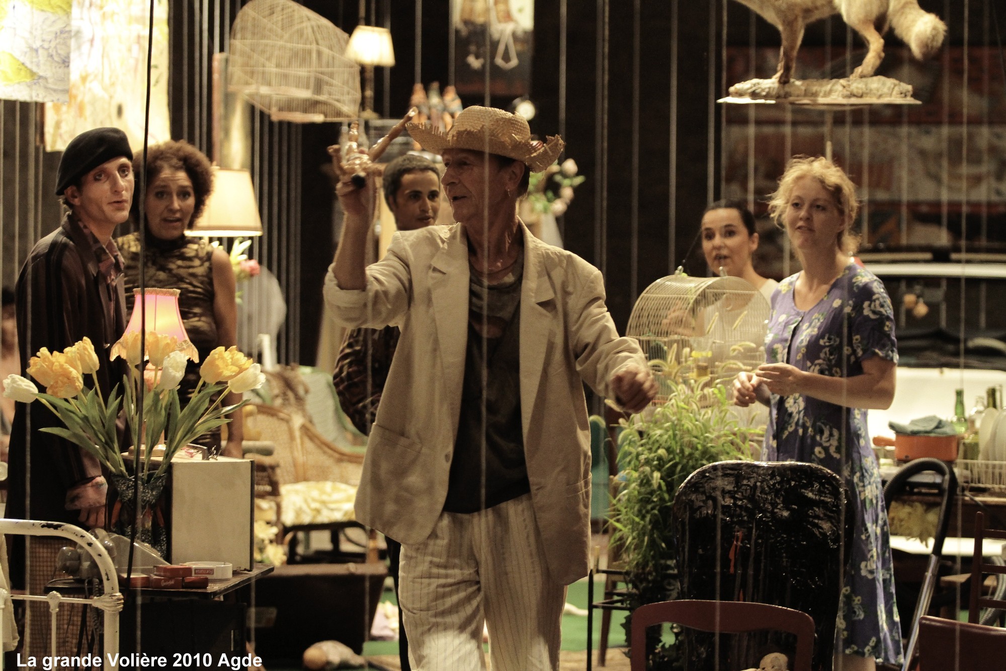 La gde voliere tous s copie