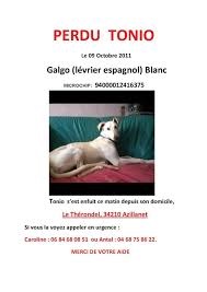 Fuite galgo