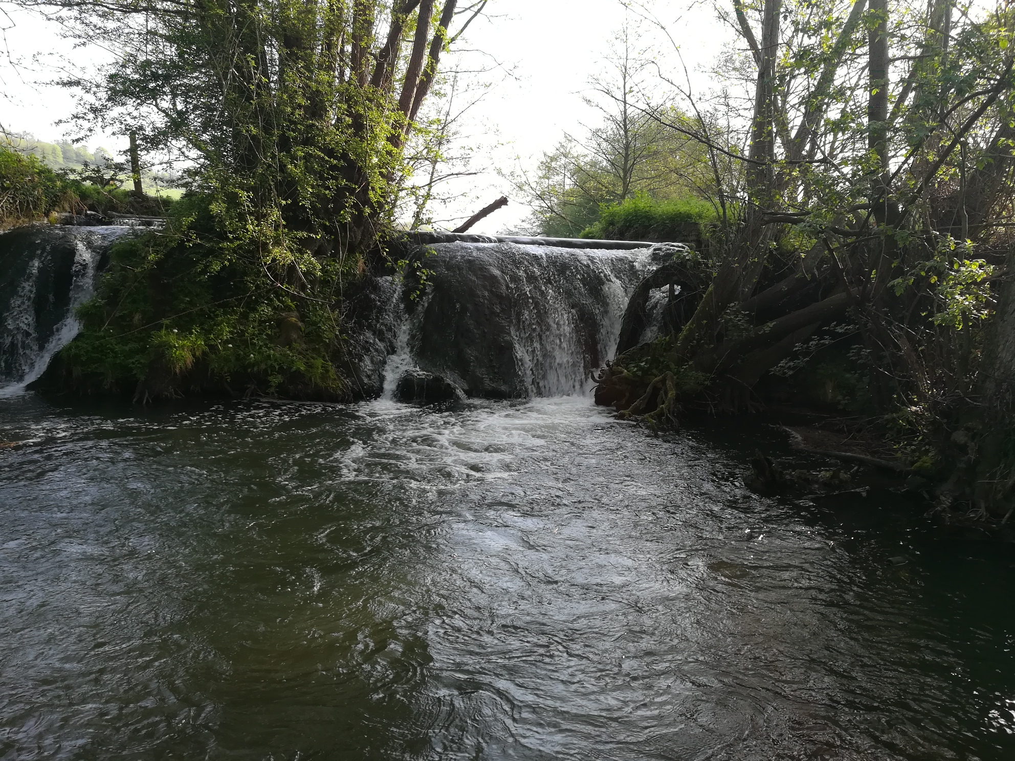 Cascade