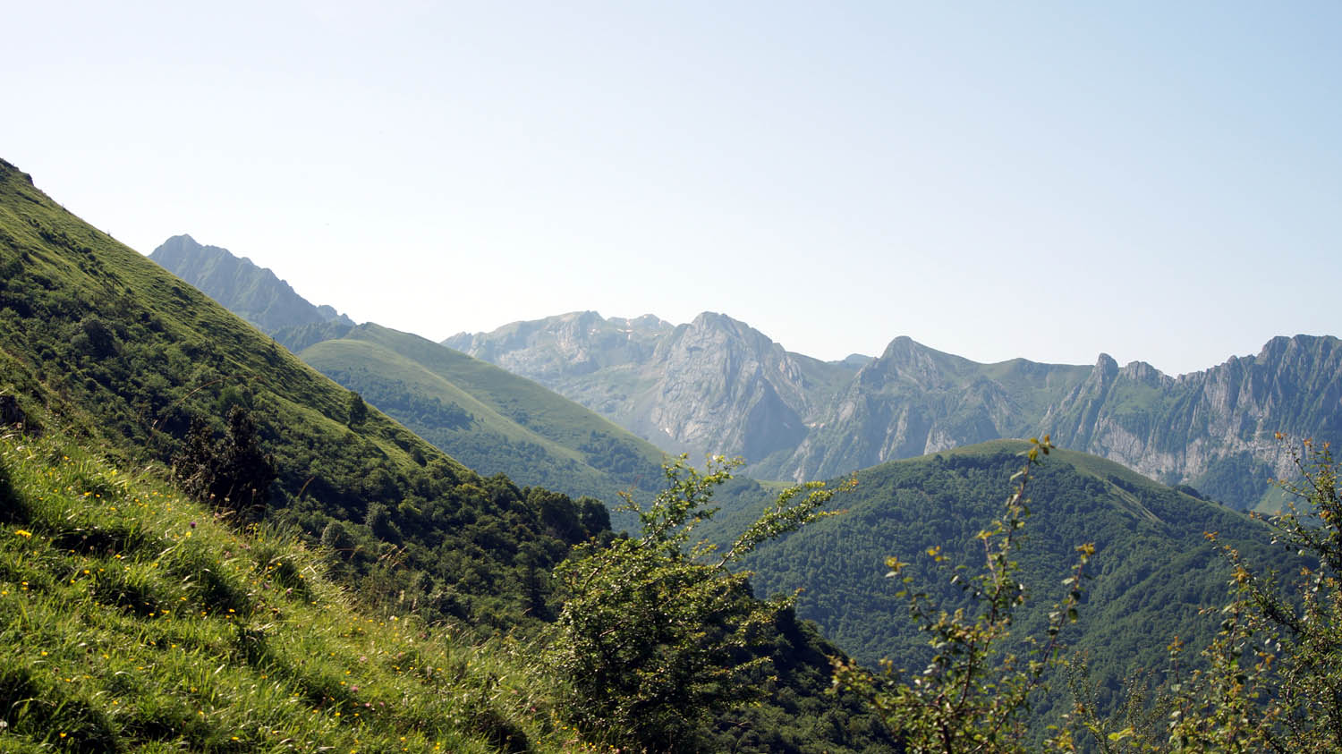 A16