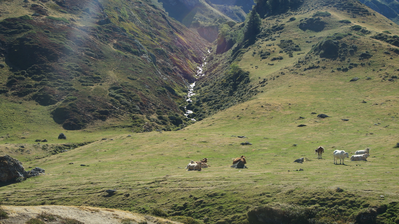Dsc08635
