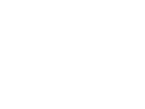 Terrain-de-foot-picto