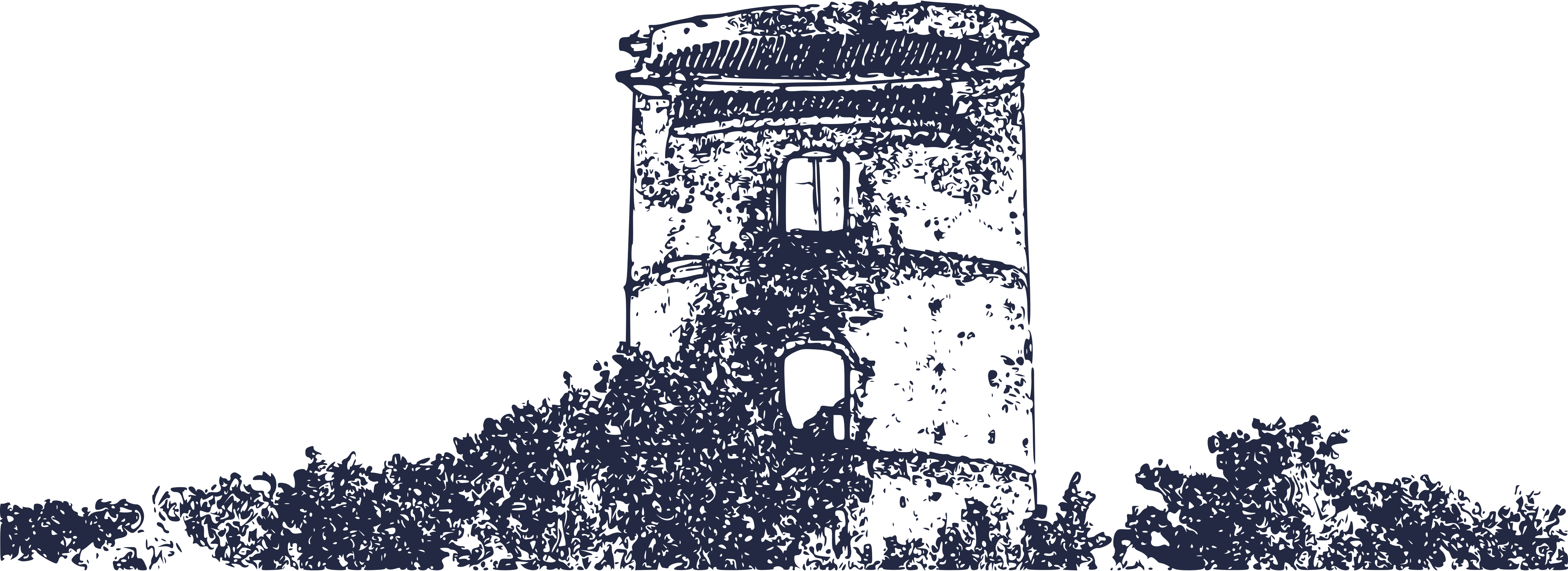 Pigeonnier 05 vector bleu