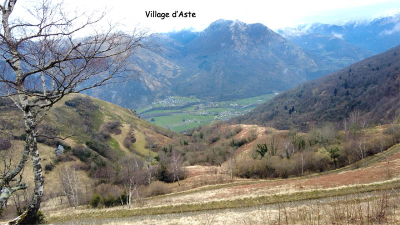 Img9516