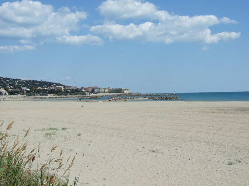 Dscf6130