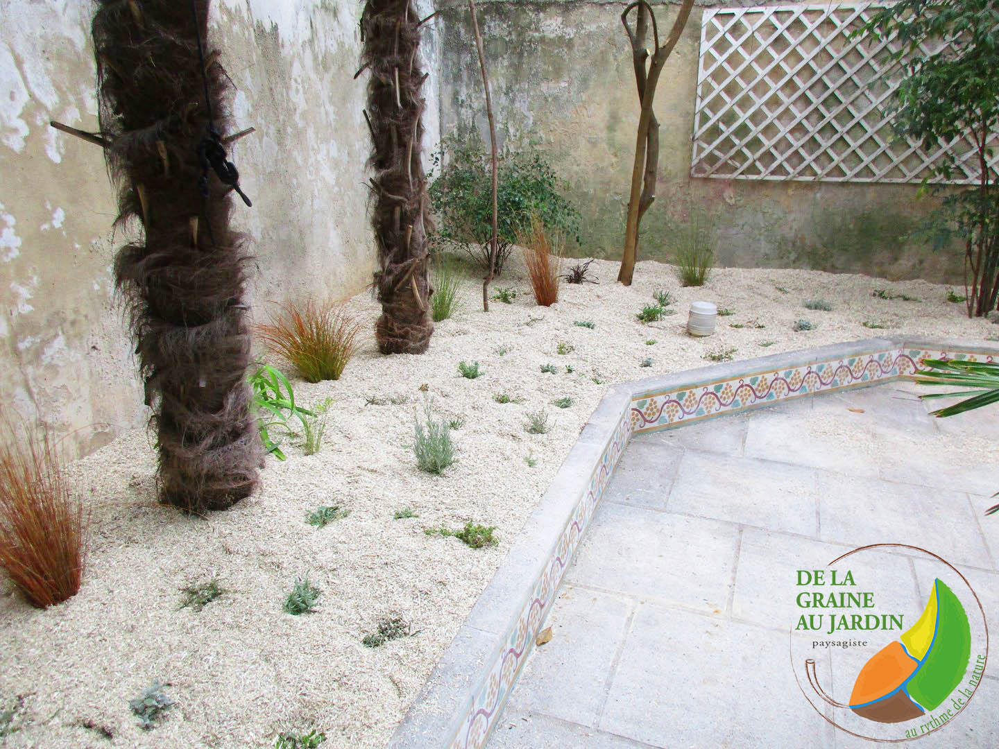 Créer un jardin sans arrosage et avec peu d'entretien