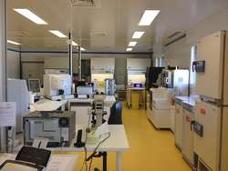 Creabio bacterio vig
