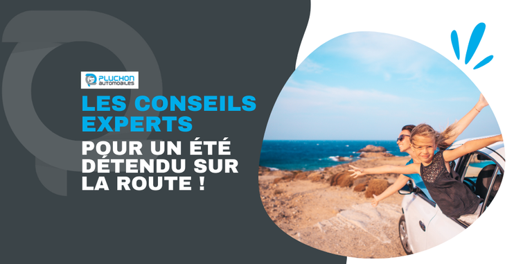 Les conseils des experts Pluchon