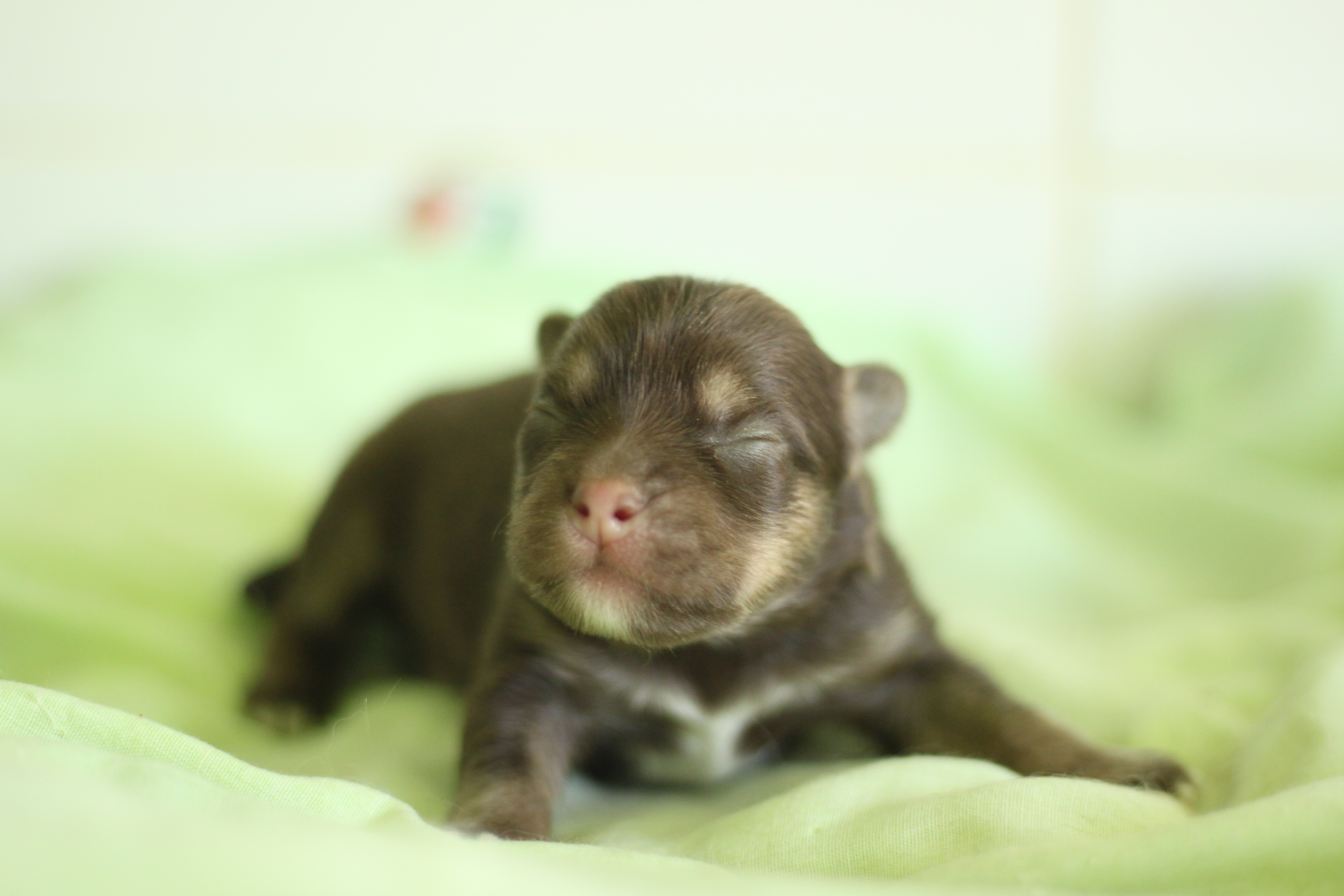 Naissance du 5 avril 2026
