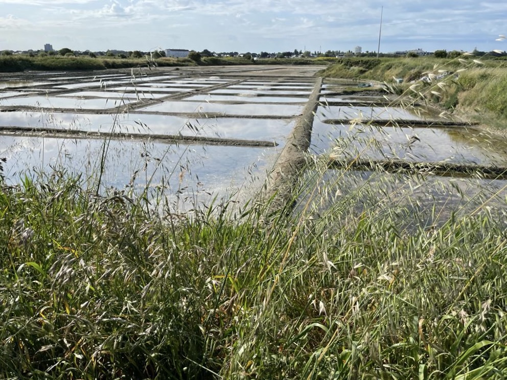 304b5d6c 5d73 459f 8821 8cabde180f6f